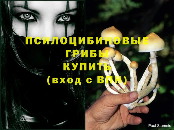 mdma Заволжск