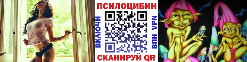 Галлюциногенные грибы мицелий  KRAKEN рабочий сайт  Каргополь 